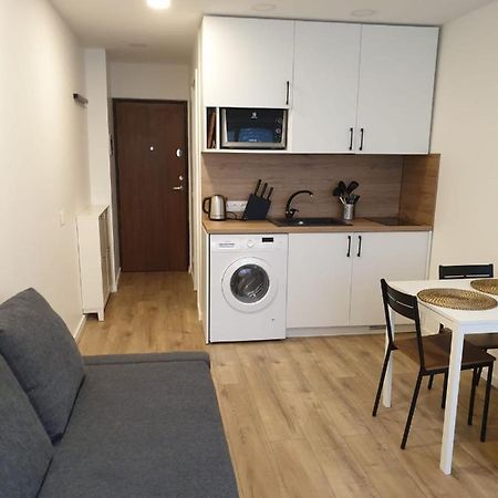 Studio Rent In Zarasai Εξωτερικό φωτογραφία