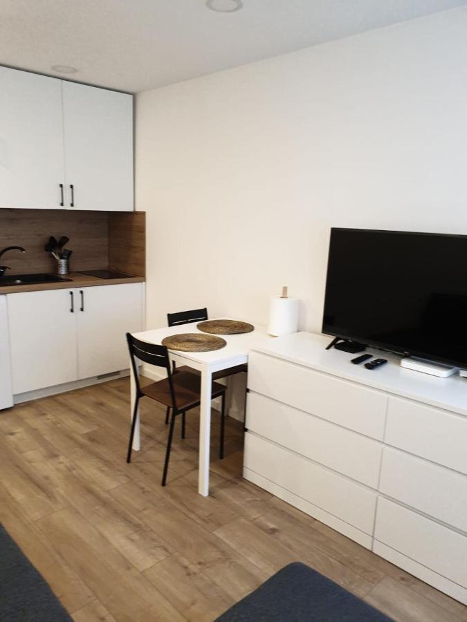 Studio Rent In Zarasai Εξωτερικό φωτογραφία