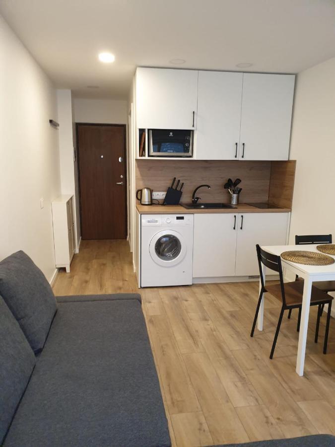 Studio Rent In Zarasai Εξωτερικό φωτογραφία