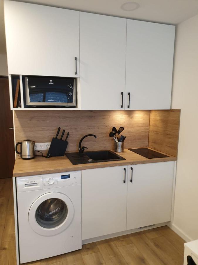 Studio Rent In Zarasai Εξωτερικό φωτογραφία