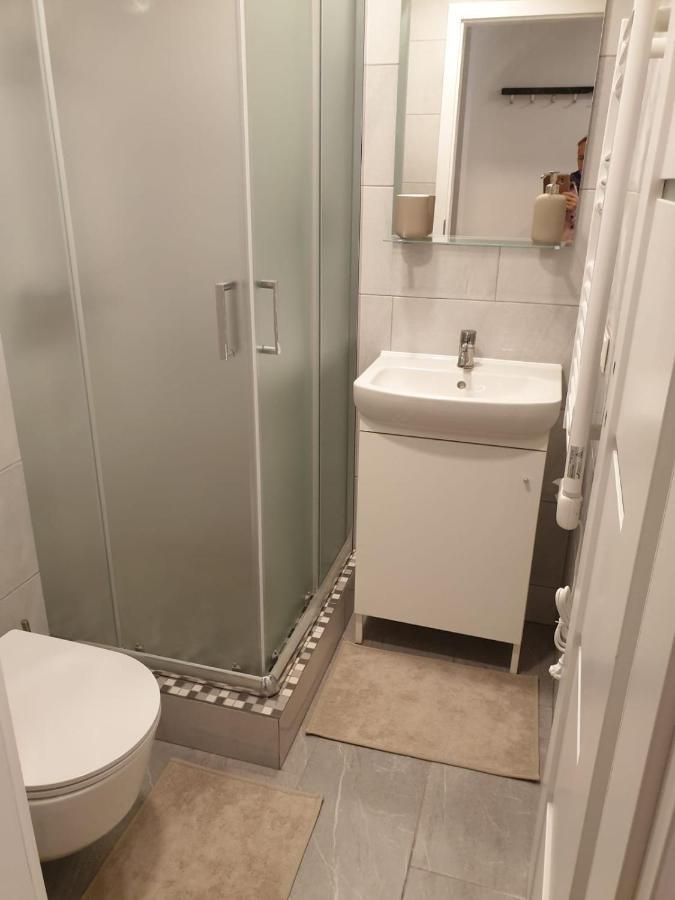 Studio Rent In Zarasai Εξωτερικό φωτογραφία