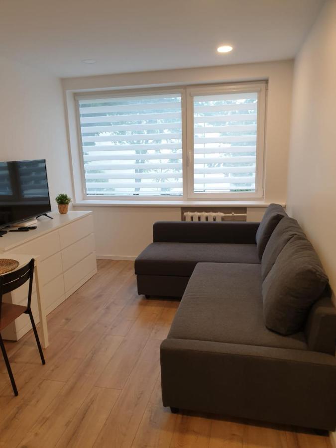 Studio Rent In Zarasai Εξωτερικό φωτογραφία
